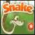 Snake flash game